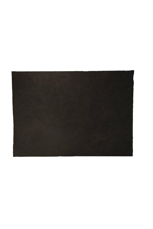 Tiryakiart Handmade Nepalese Paper Murakka 50X70 cm 73 Raven