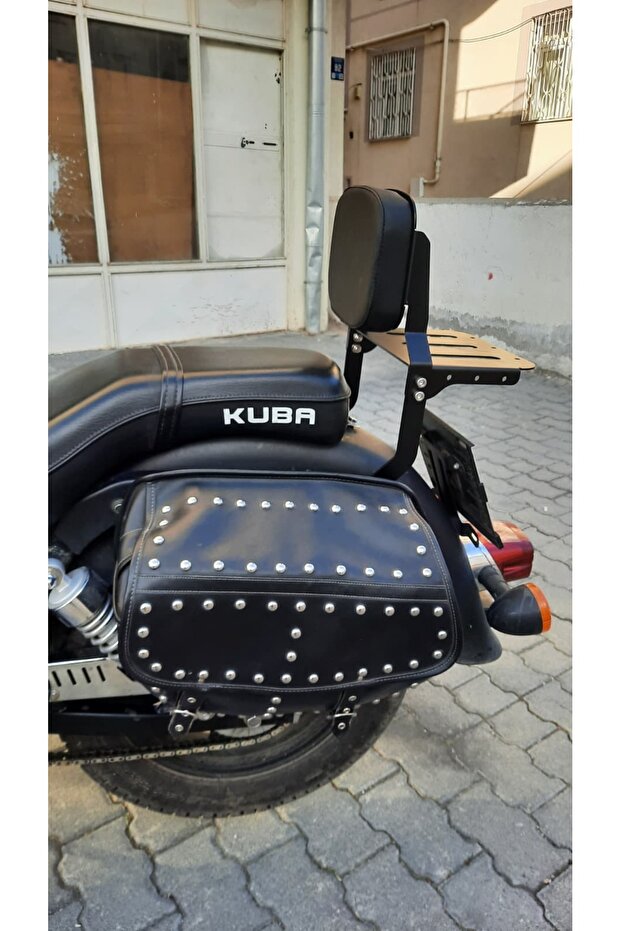 Superlight Sissy Bar - 3