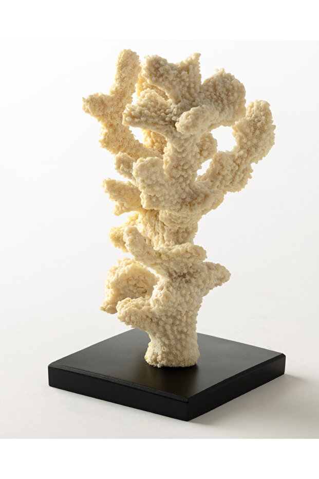 Josephine Biblo - Krem - 4