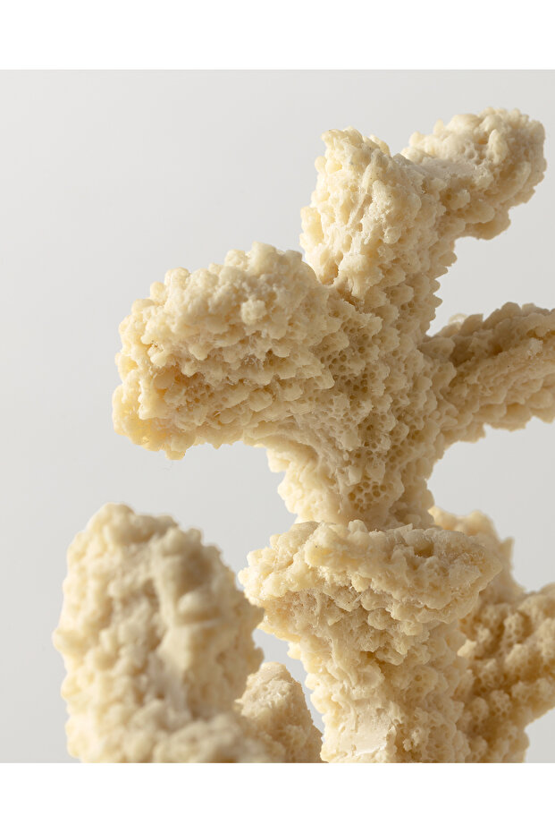 Josephine Biblo - Krem - 2