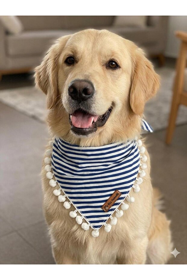 Navy Blue Dog Bandana with White Pompom