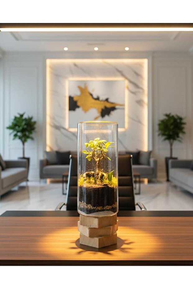 The Meridian Cylinder Terrarium