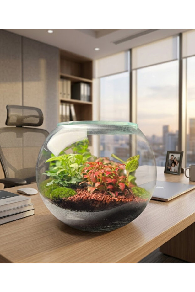 The Skyline Sanctuary Terrarium