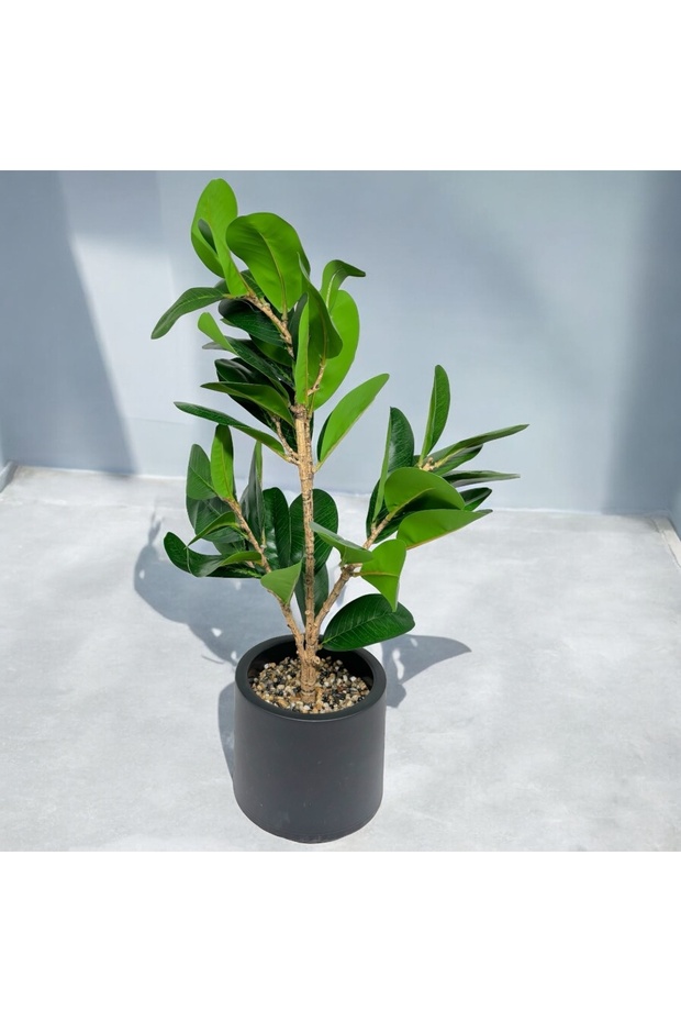 Planta Artificiala Ficus Microcarpa 67CM - 2