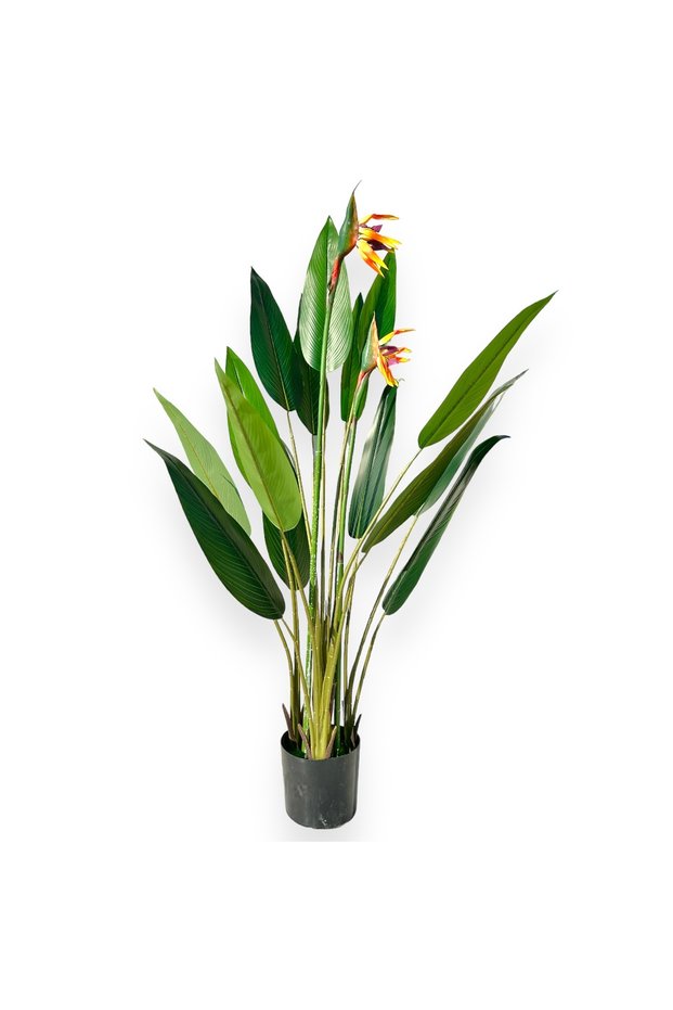 Planta Artificiala Premium Strelitzia 150CM
