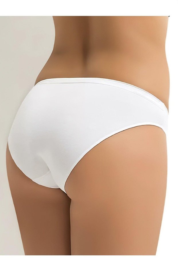 Women's 3-Piece Cotton Modal Daily Panties 1610