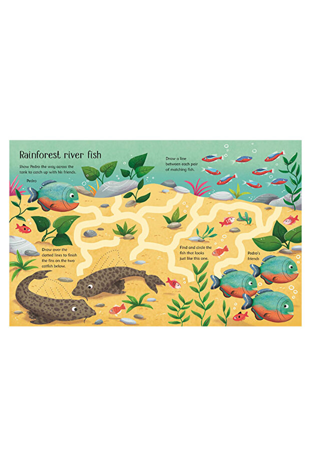 Wipe-Clean Aquarium Activities Publishing - 2