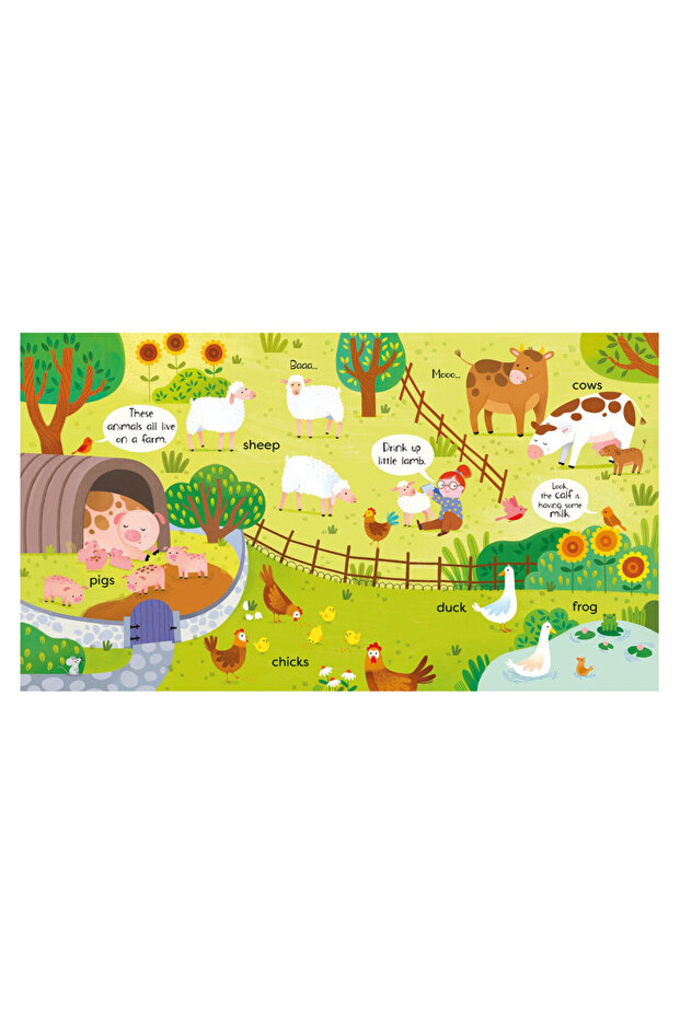 First Animals Book Publishing - 2