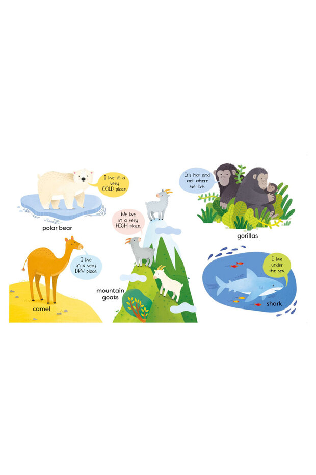 First Animals Book Publishing - 3