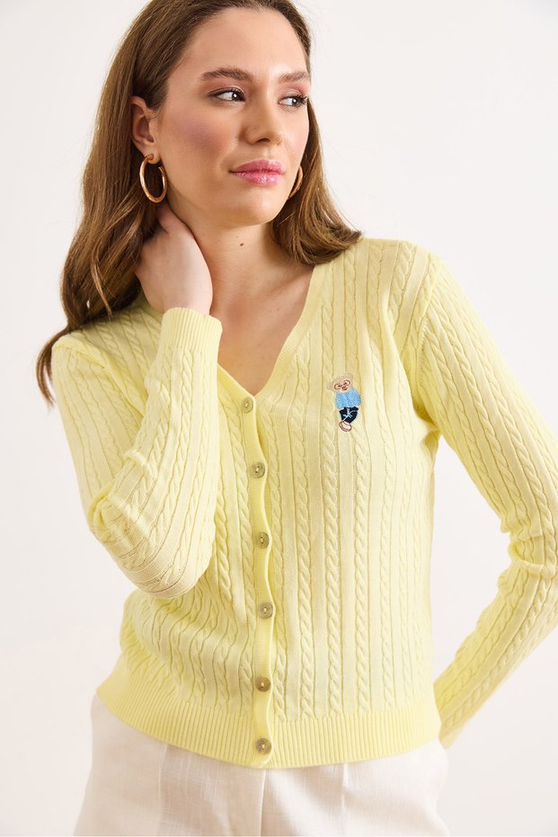 Women's Yellow V-Neck Buttoned Embroidery Detailed Hair Knitwear Cardigan Hrk-19000491