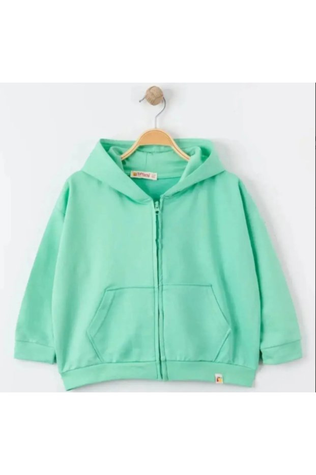 Sweatshirt Kapüşonlu Oversize Theme Mint