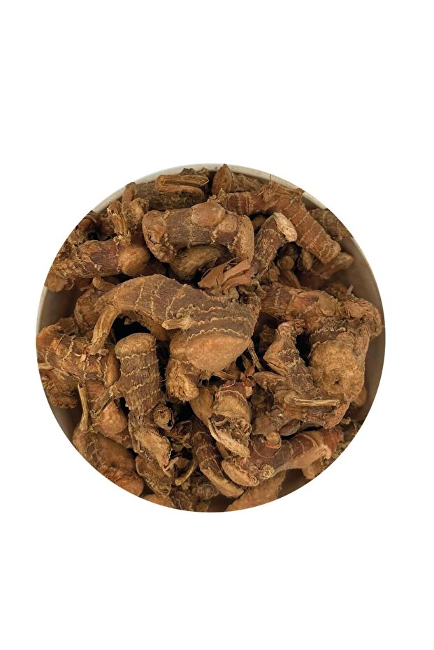 جذر البرباريس 1 كجم