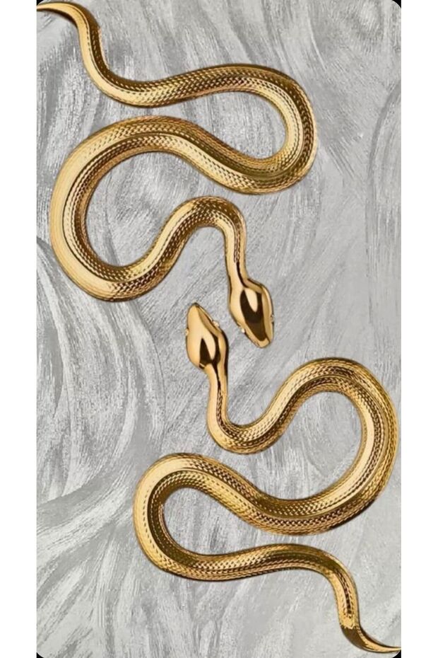 Golden Snake Sticker Set – Luxury & Aesthetic Decor Stickers (Modern Design) | 22X30 cm