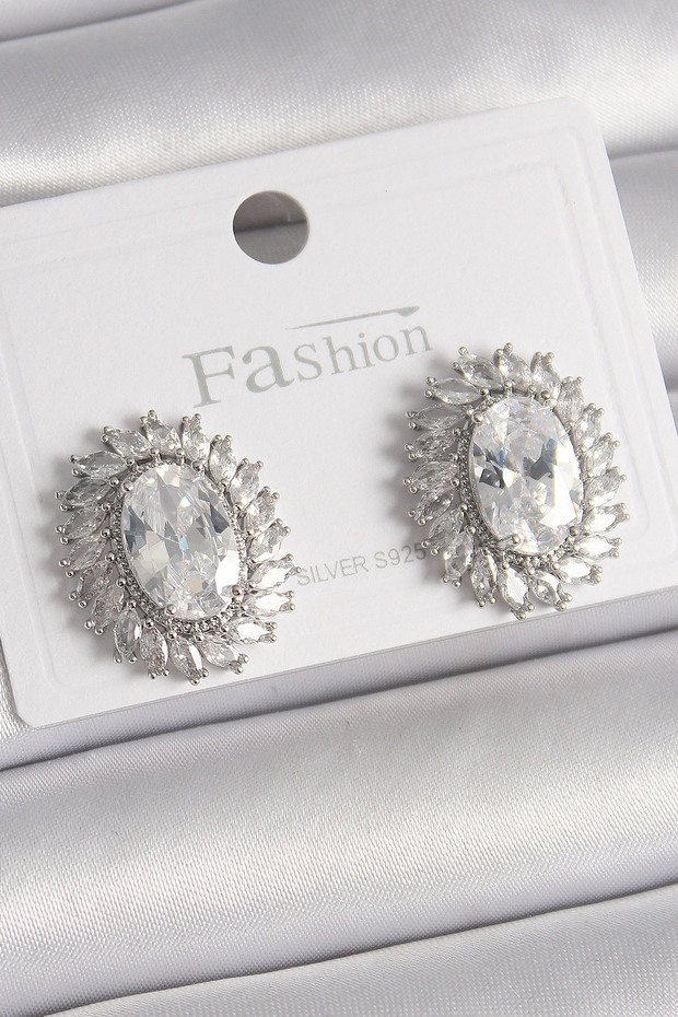 Stylish Brass Silver Color Zircon Stone Women's Earrings Teachers Mothers Valentine's Day Gift