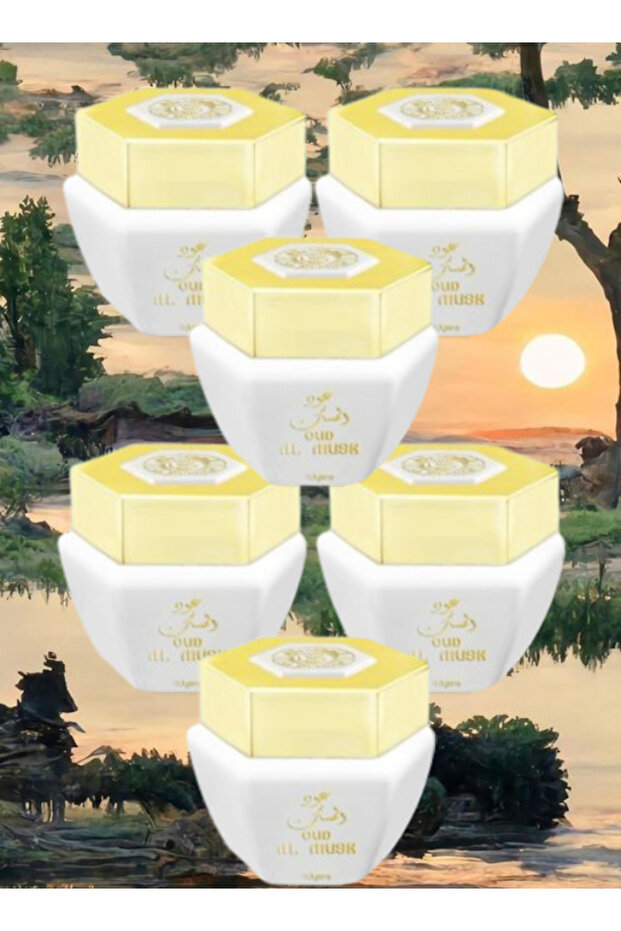6 قطع من عطر المسك 40 جرام