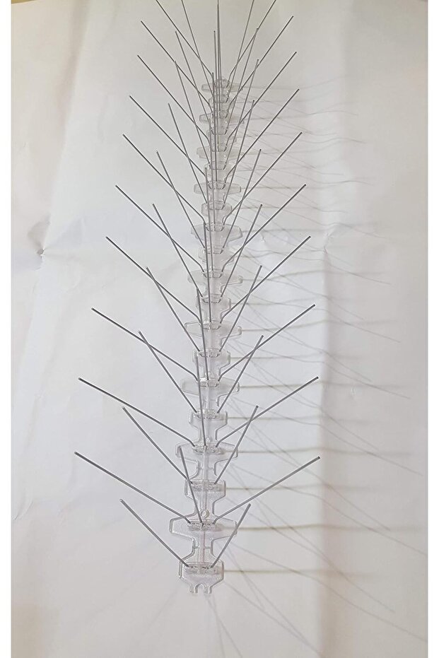 Plastic Bird Spikes 2 And 3 Pins 50 cm 6 Pcs