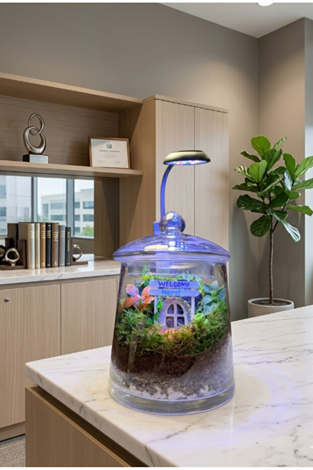 Light Haven Terrarium