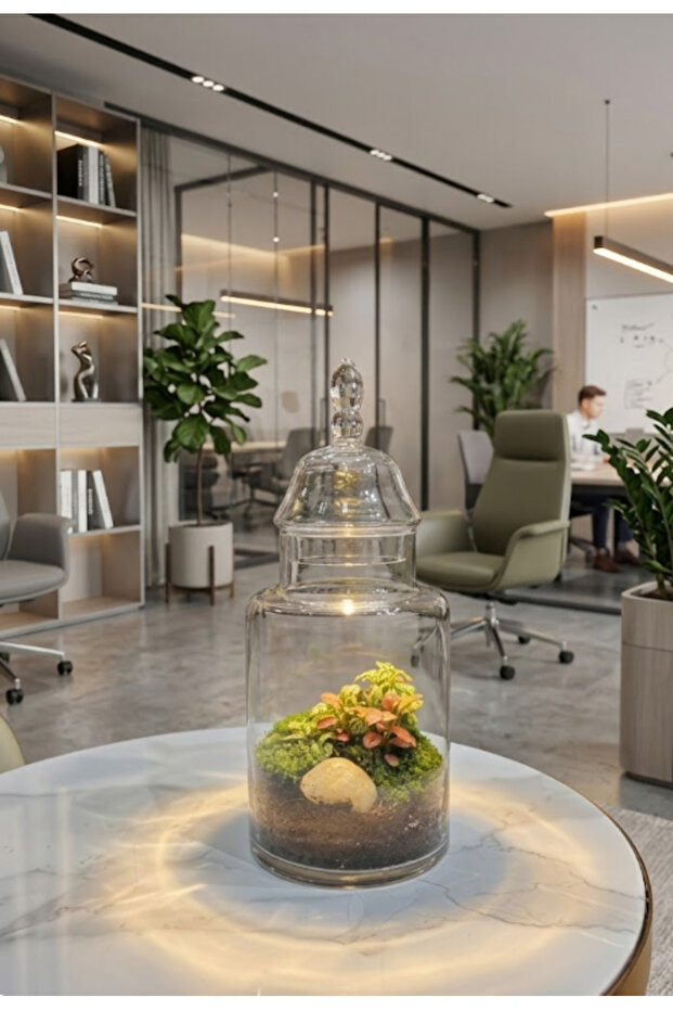 Corporate Canopy Terrarium