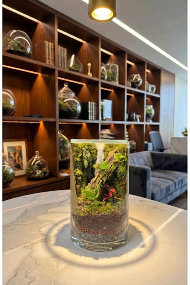 Woodland Reverie Terrarium