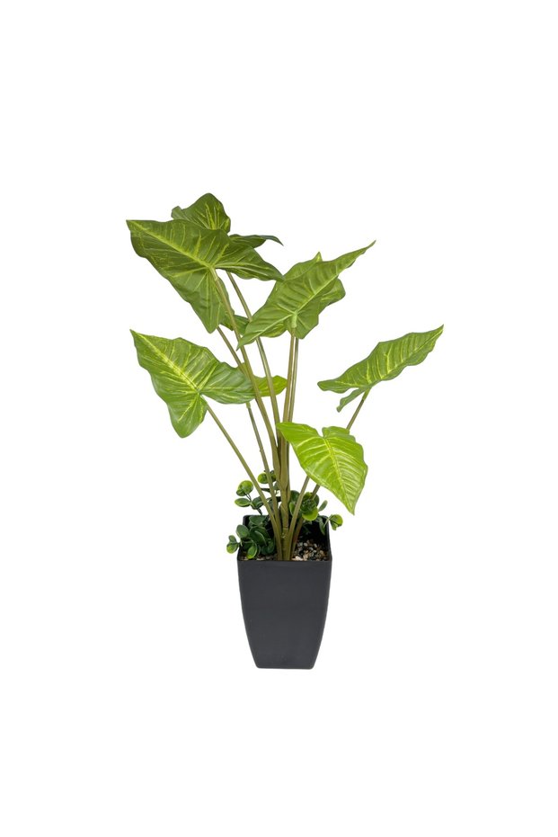 Planta Artificiala Colocasia 65CM