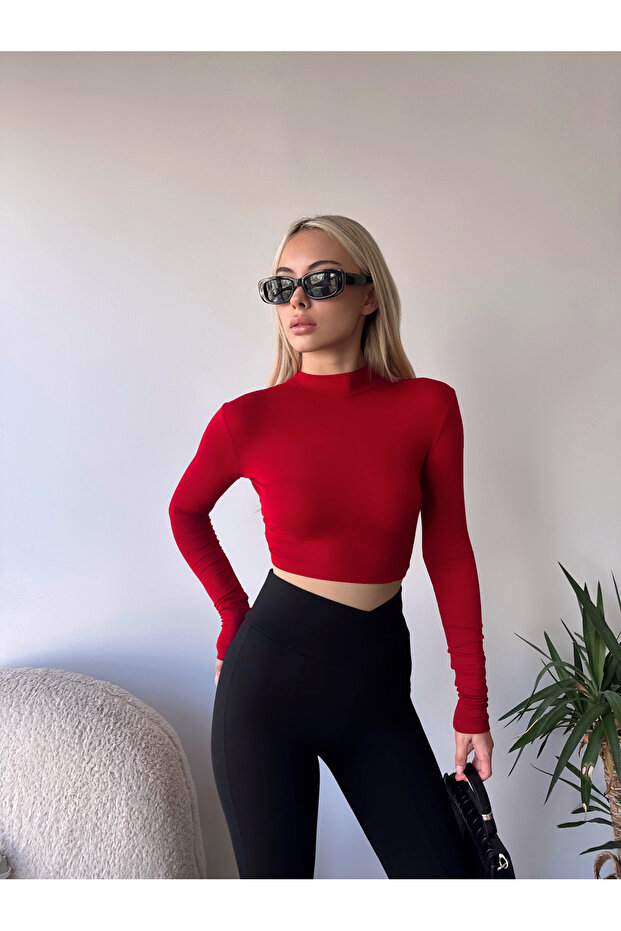 Women's Burgundy Backless Tie Detailed High Neck Long Sleeve Cropped Blouse