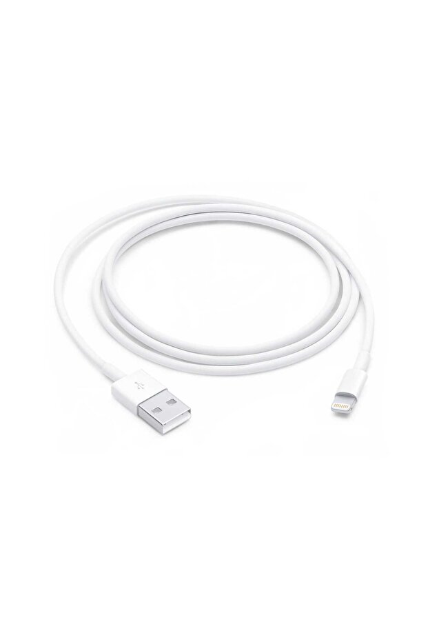 Lightning to USB Cable, 1m - 1