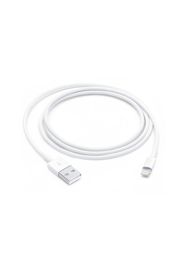 Lightning to USB Cable, 1m - 6