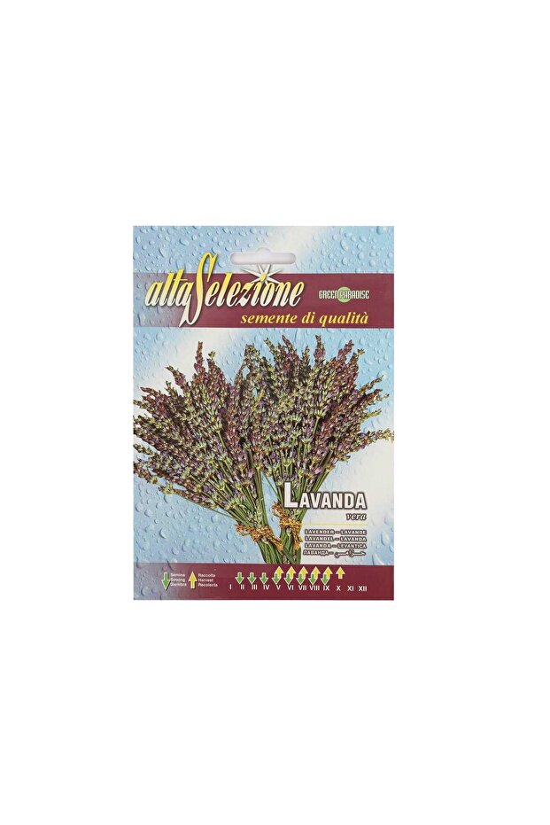 Lavender Seeds