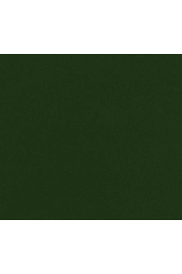 كرتون باسباترو 40×60 سم 4 عبوات رقم:5460 أخضر