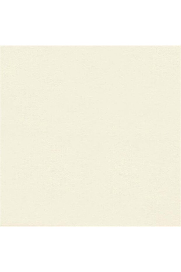 ورق كرتون باسباترو 40×60 سم 4 عبوات رقم:5221 بيج فاتح