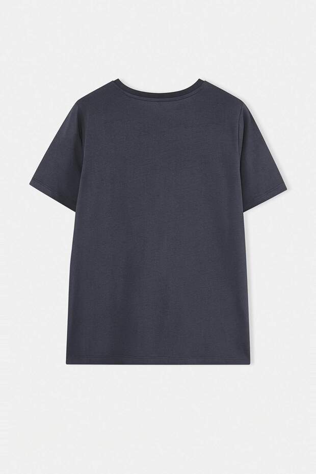 Antrasit Regular Fit Fiyonk Baskılı Büyük Beden T-shirt TBBSS25BF00017 - 3