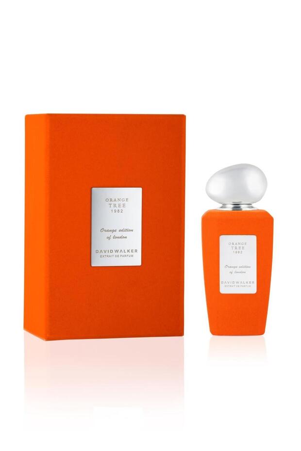 ORANGE TREE 1982