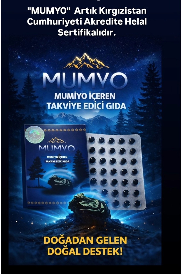 %100 mumiyo tablet - 1