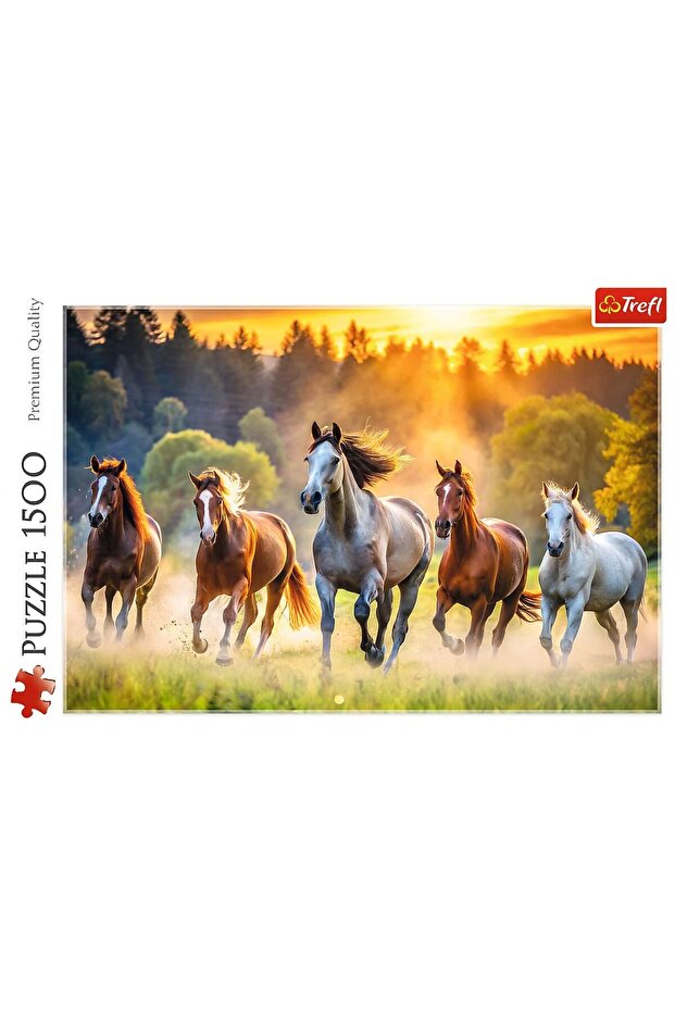 Puzzle 1500 Cal Salbatic - 3