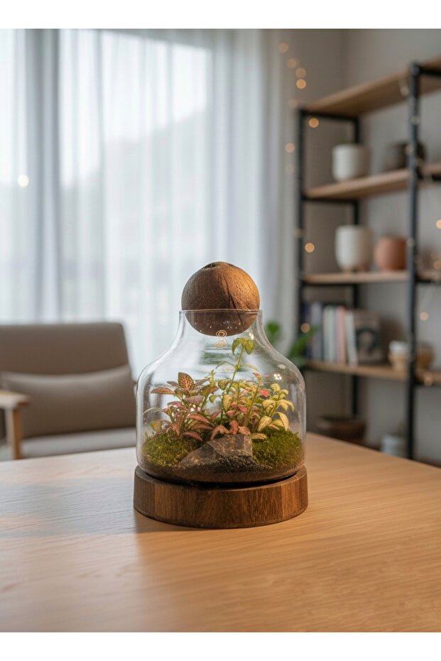 Coco Haven Glass Terrarium