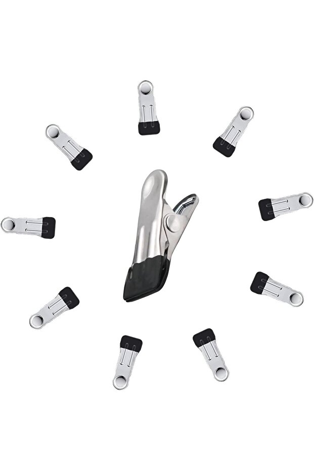 10-Pack Stainless Steel Clothespins with Anti-Scratch Function, Strong Spring Grip, 2.2 Inch