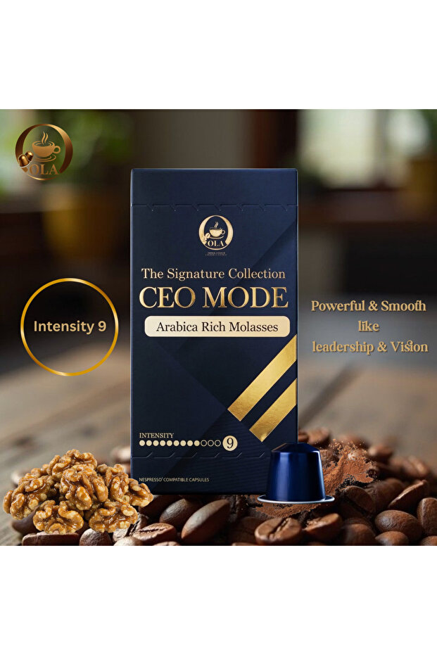 CEO Mode