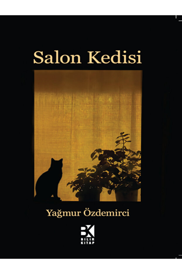 Salon Kedisi