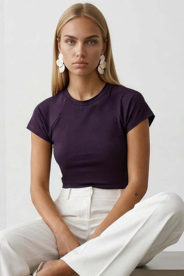 Plum Crew Neck Raglan Sleeve Lycra Knitted T-Shirt Alc-X15388