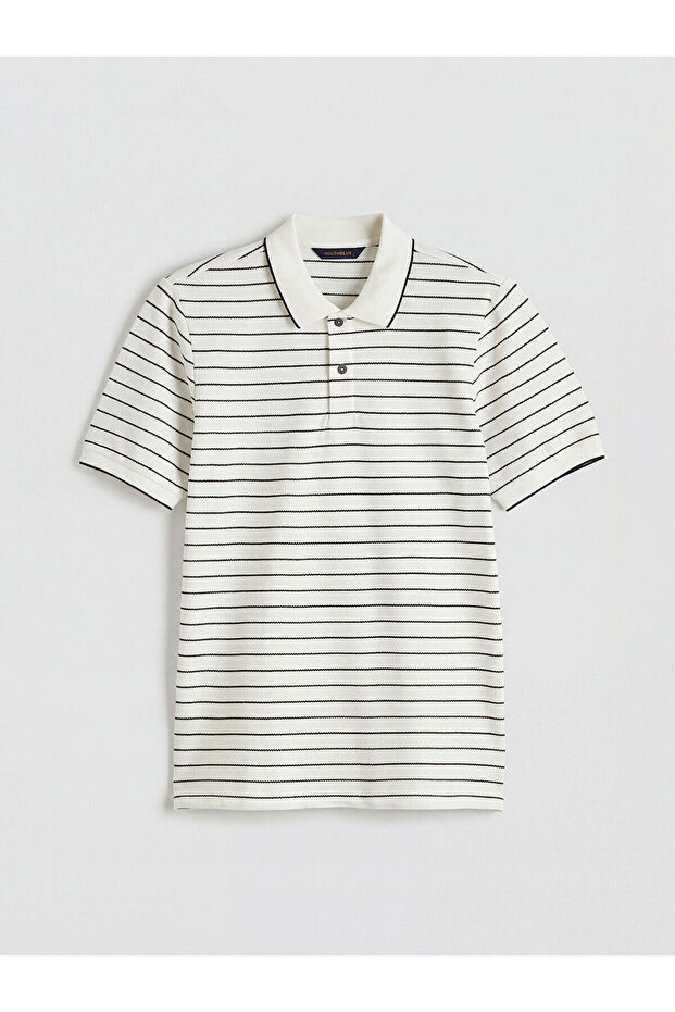 Polo Neck Striped Men's T-Shirt