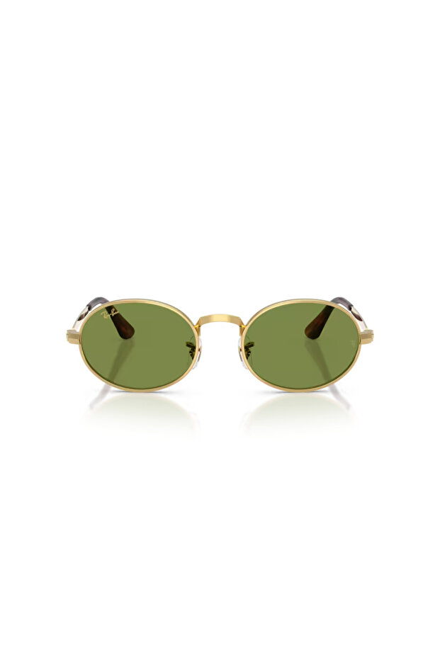 3931 001/4E 54 Sunglasses