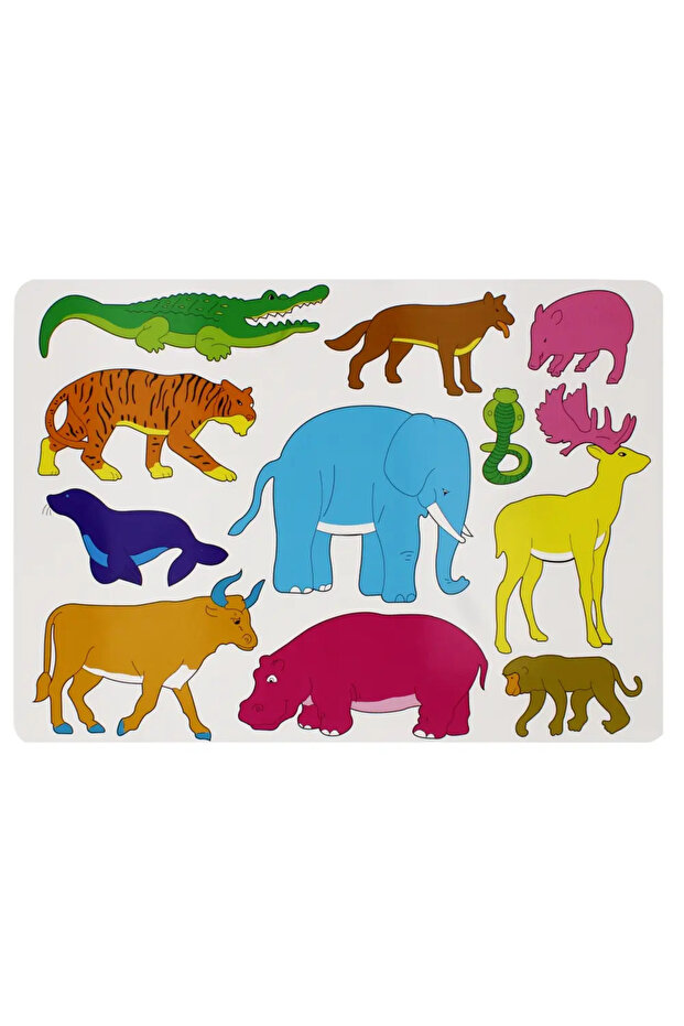 Șablon din plastic PET - 3