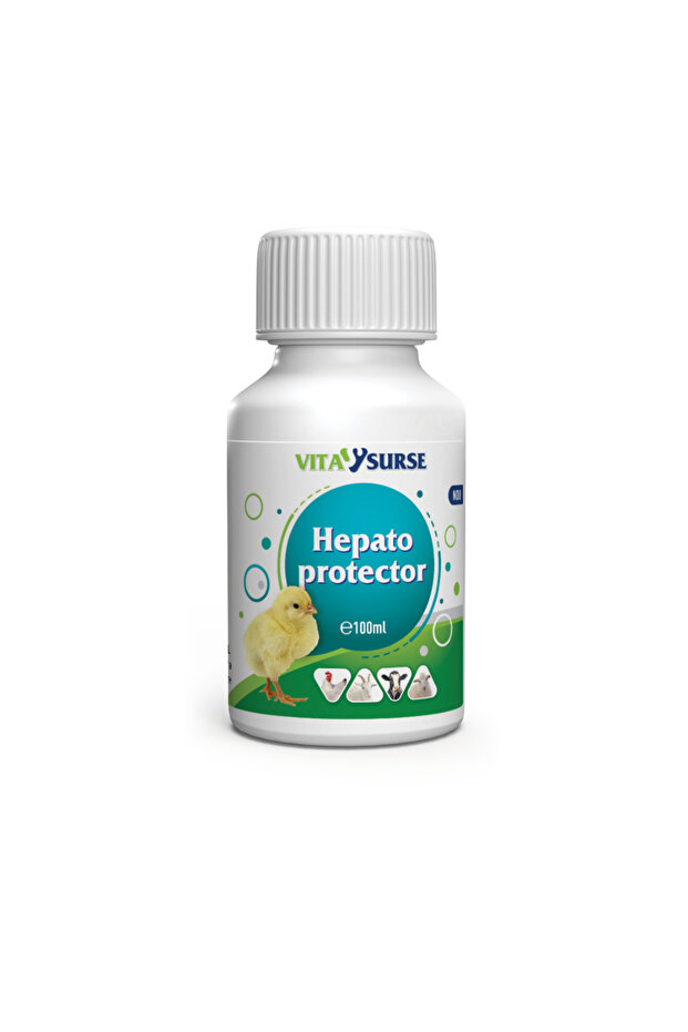 Complex Hepatoprotect 100ml - 1