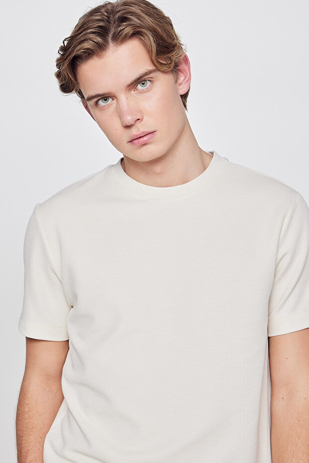 Soft Textured Regular Fit Regular Cut Crew Neck Basic T-Shirt - 4
