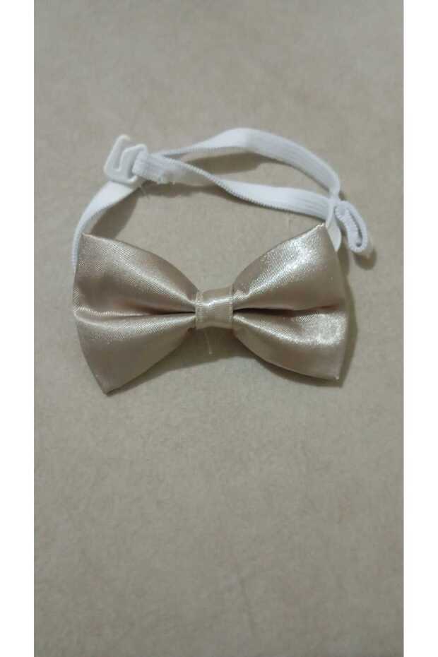 Gray Boy's Bow Tie