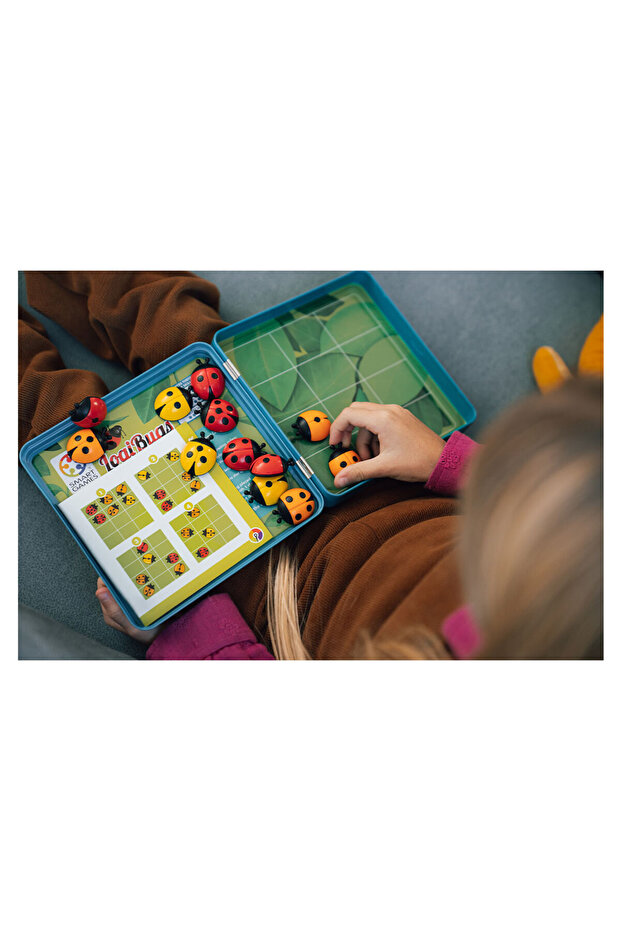 Logic Game, Logi Bugs, Smart Games - 4