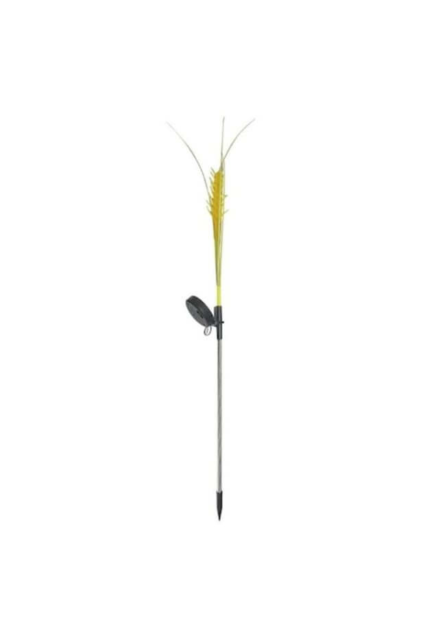 Decorative Solar Lamp