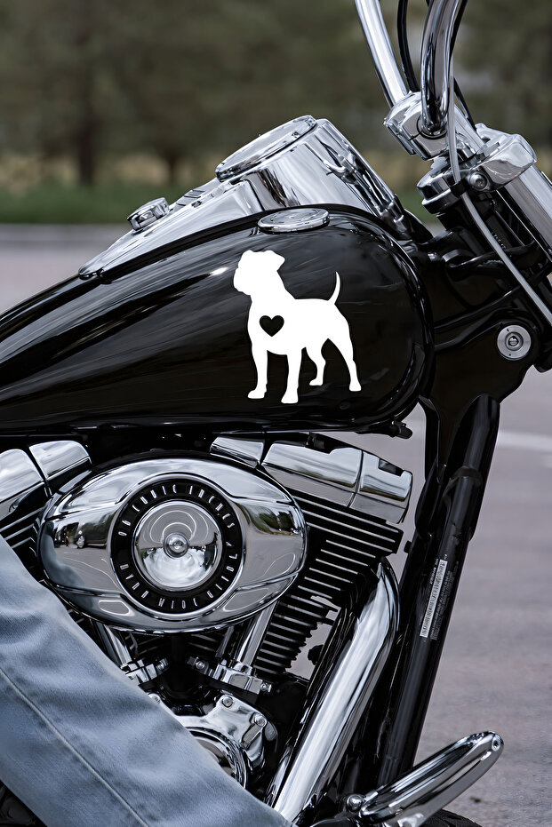Pitbull Car Sticker – Cute Dog Design Car Sticker - Motor Sticker 15X12Cm