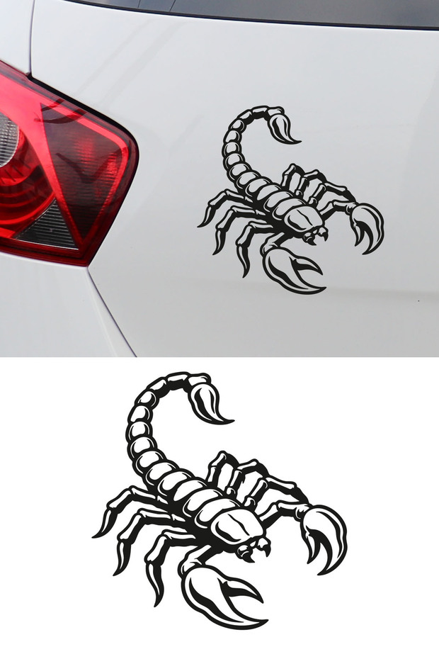 Scorpion Car Sticker – Car Window Hood Engine Sticker with Detailed Scorpion Figure 15X15Cm