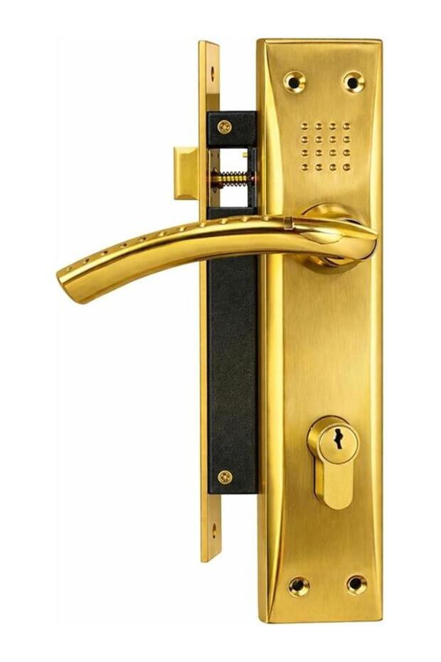 Door Handle Set with Lock, Gold Finish, Lever Style, Includes Keys and Hardware, Mortise Lock